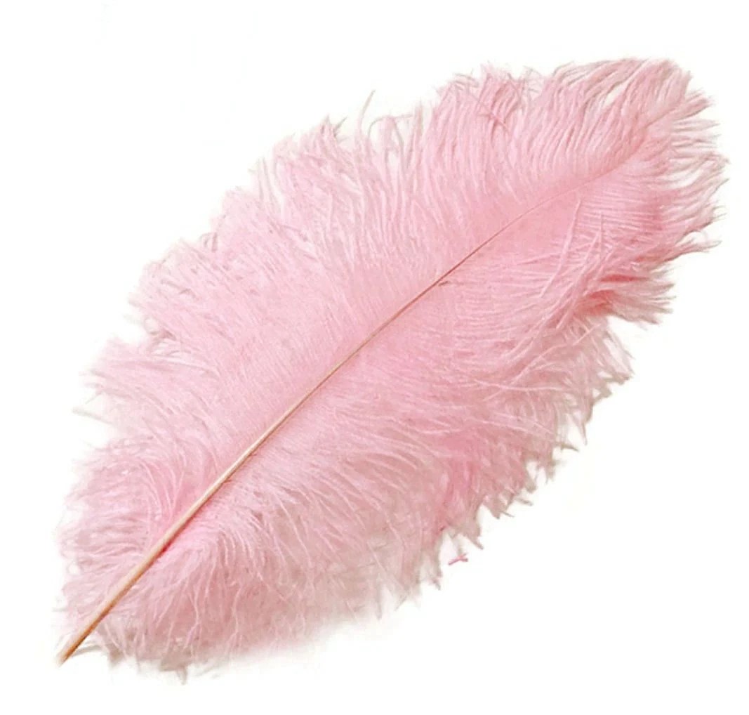 WING FLOSS OSTRICH FEATHER 4PK BABY PINK