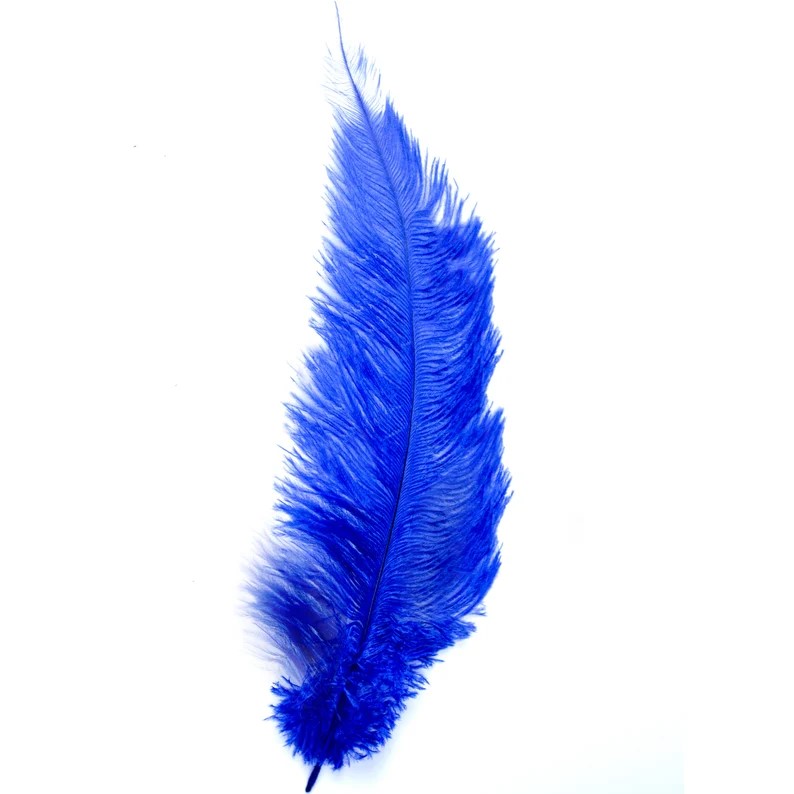 WING FLOSS OSTRICH FEATHER 4PK ROYAL