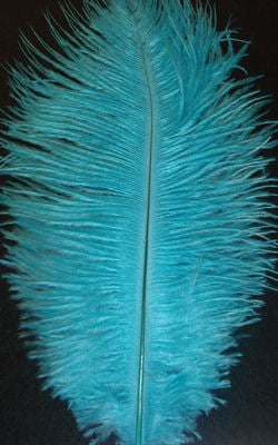 WING FLOSS OSTRICH FEATHER 12PK KINGFISHER